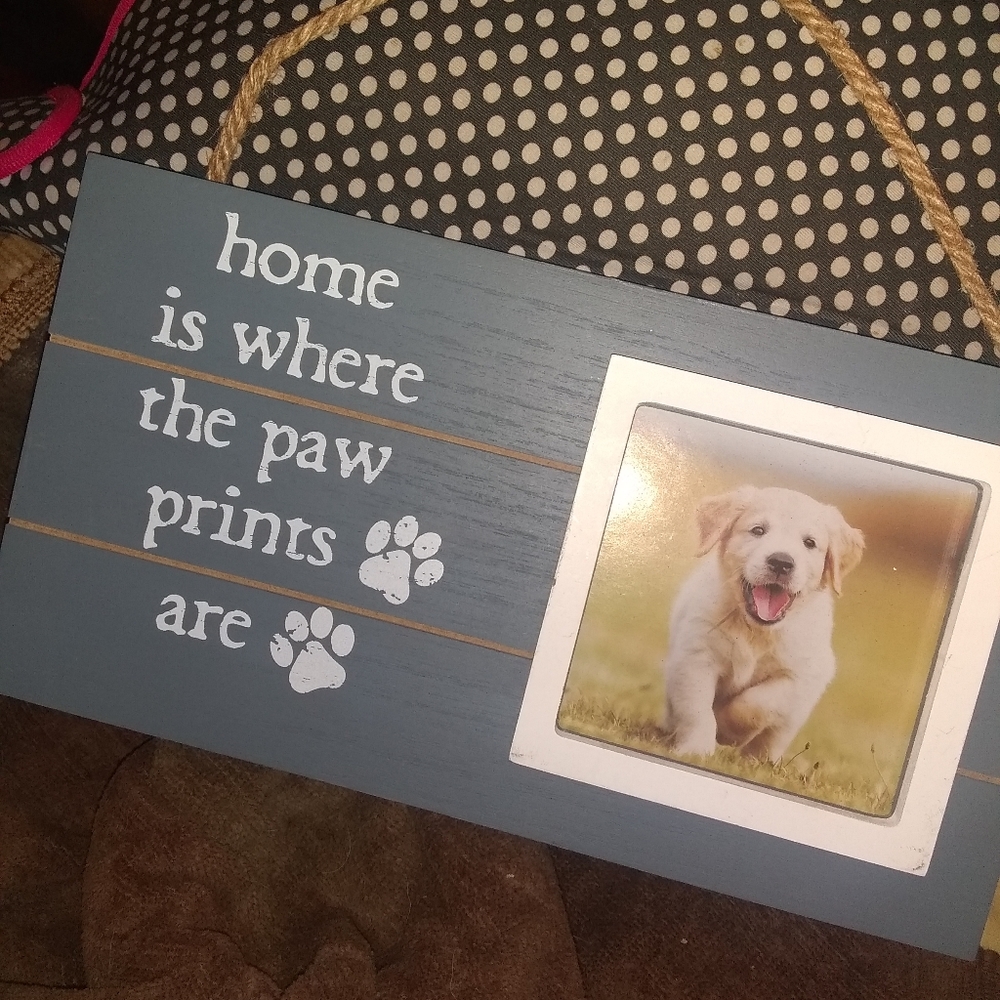 Wall hanging with picture frame